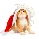真正的恐龙猎人